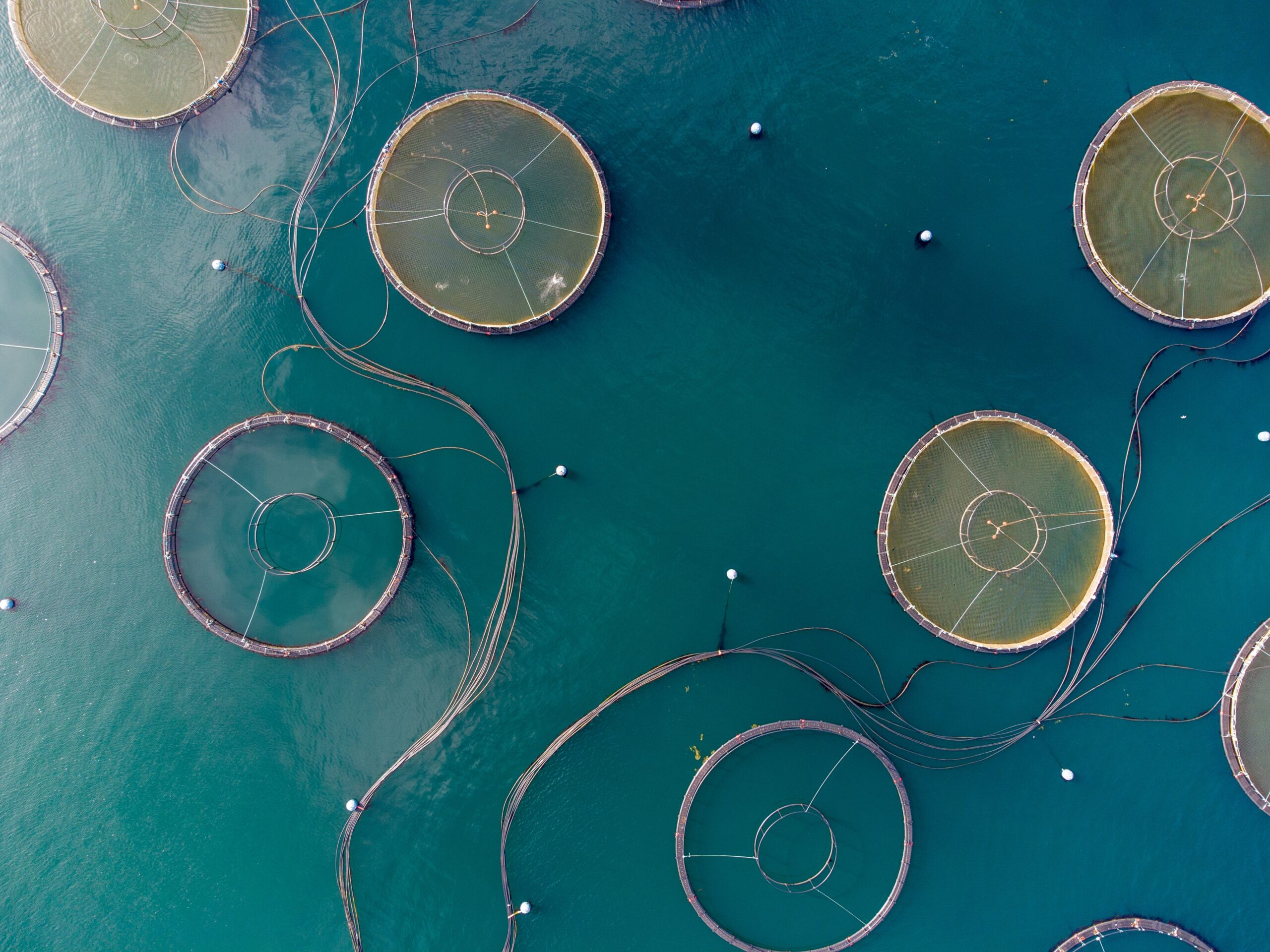 ocean showing Aquaculture pond image